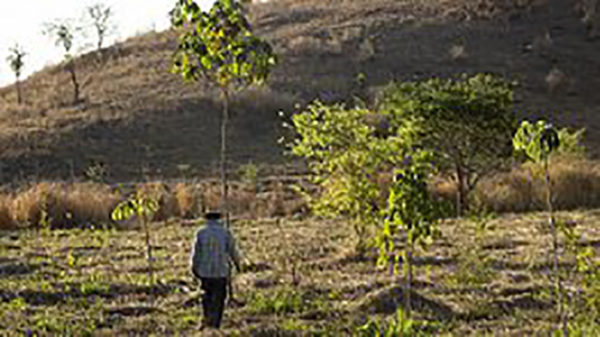 Edital de Adesão ao Programa de Restauração Florestal