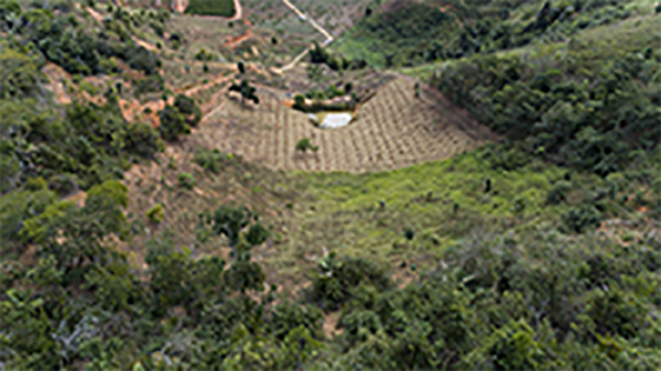 Edital para Pagamento por Serviços Ambientais (PSA)