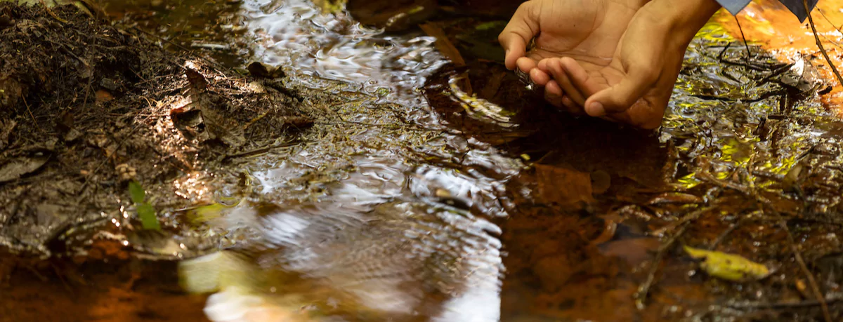 Especialista socioambiental observa o estado da água e da vegetação na região de Periquito, Minas Gerais. Registro em 25 de agosto de 2020.