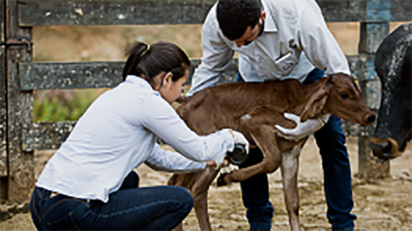 Edital Gestão de Fazendas