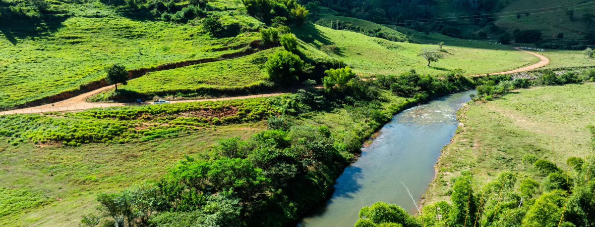 Para melhorar a qualidade da água do Rio Doce, foram realizadas ações focadas em aumentar a retenção da água da chuva no solo, proteger nascentes e matas ciliares, além do tratamento adequado do esgoto.